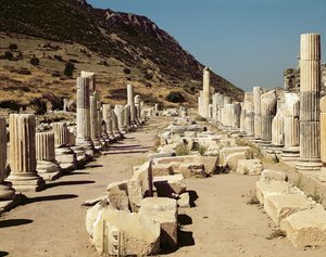 Veduta delle colonne sull